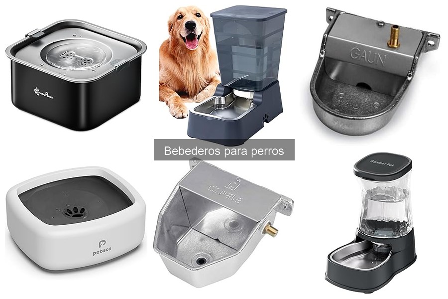 ¿Son necesarios los bebederos automáticos para perros?