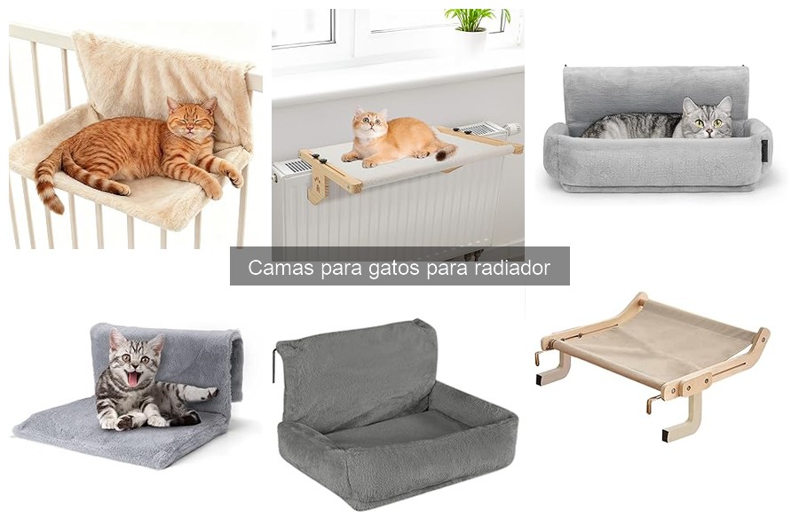 ¿Son seguras las camas para gatos en radiadores?