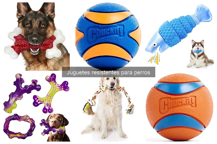 ¿Son seguros los juguetes resistentes para perros?