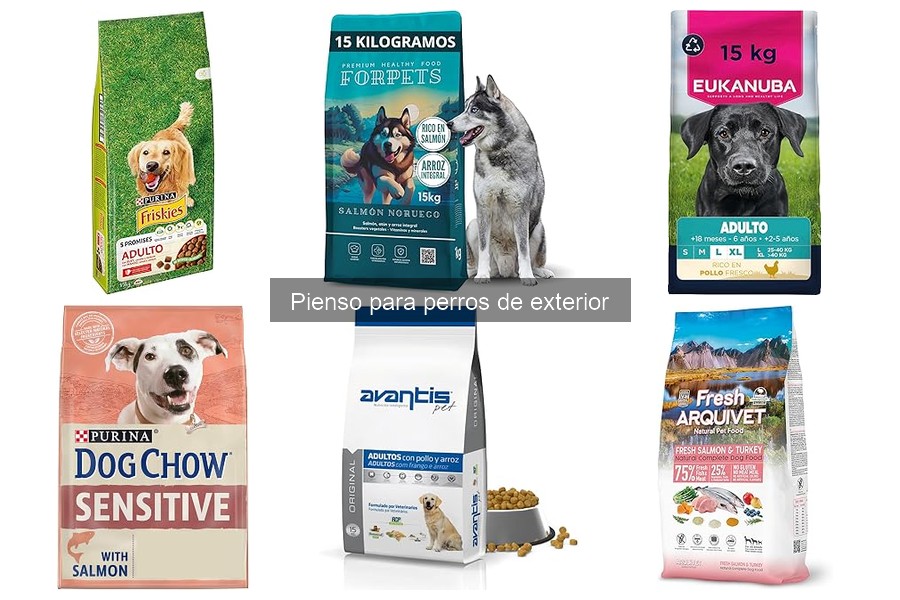 Suplementos necesarios para pienso de perros de exterior