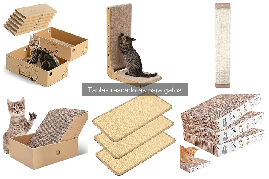 Tablas rascadoras: ¿Son adecuadas para todos los gatos?