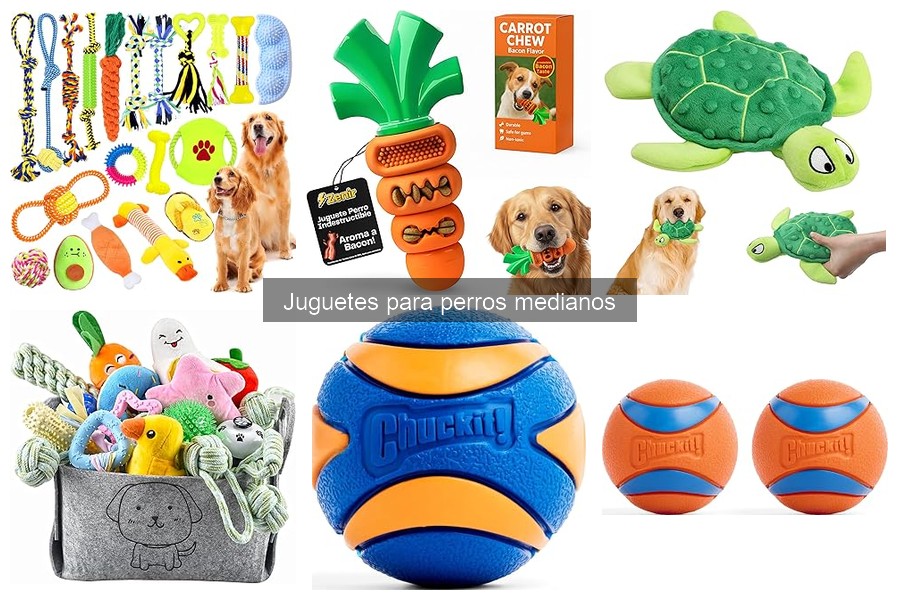 Tendencias en Juguetes para Perros Medianos en 2023