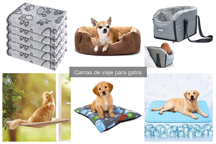 ** Testimonios sobre Camas de Viaje para Gatos: Experiencias Reales