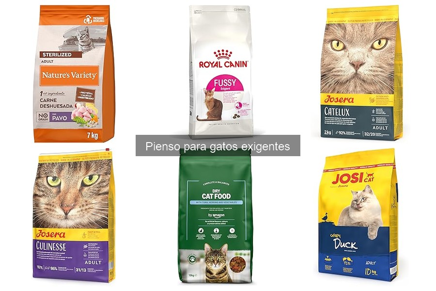 Testimonios sobre piensos para gatos exigentes