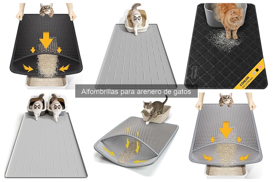 Tipos de alfombrillas para arenero de gatos: guía completa