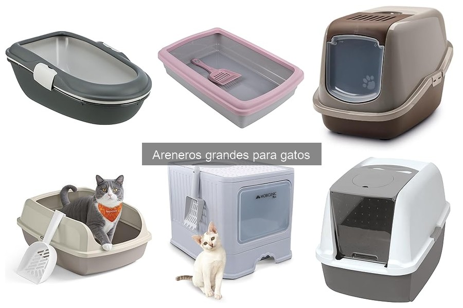 Tipos de areneros grandes para gatos: guía completa