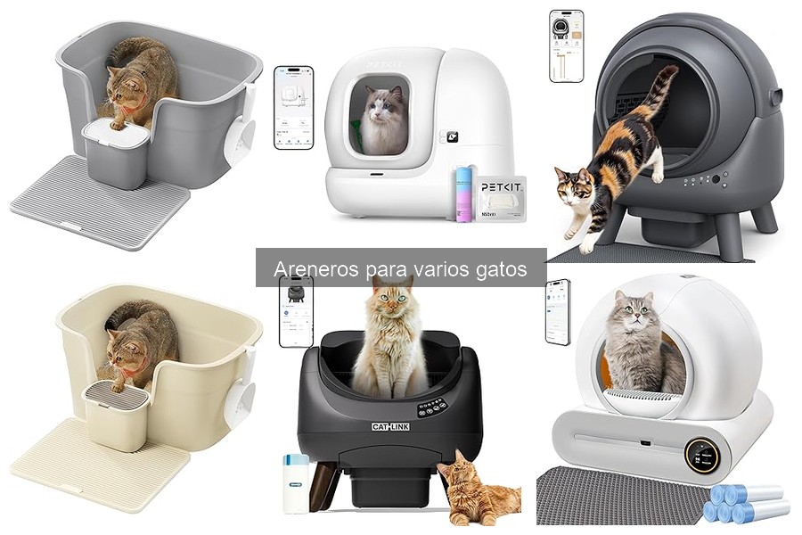 Tipos de areneros para varios gatos: ¿cuál elegir?