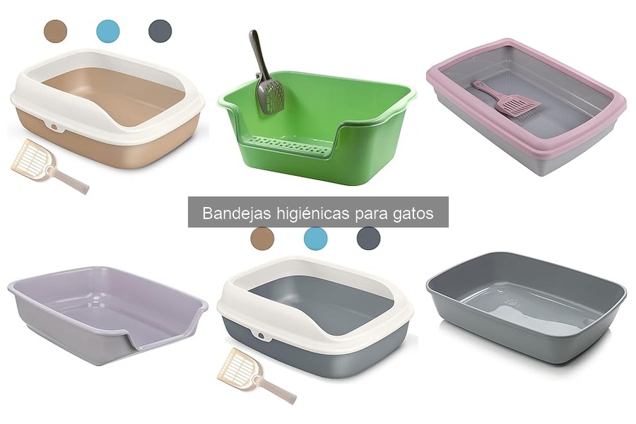 Tipos de bandejas higiénicas para gatos: guía completa