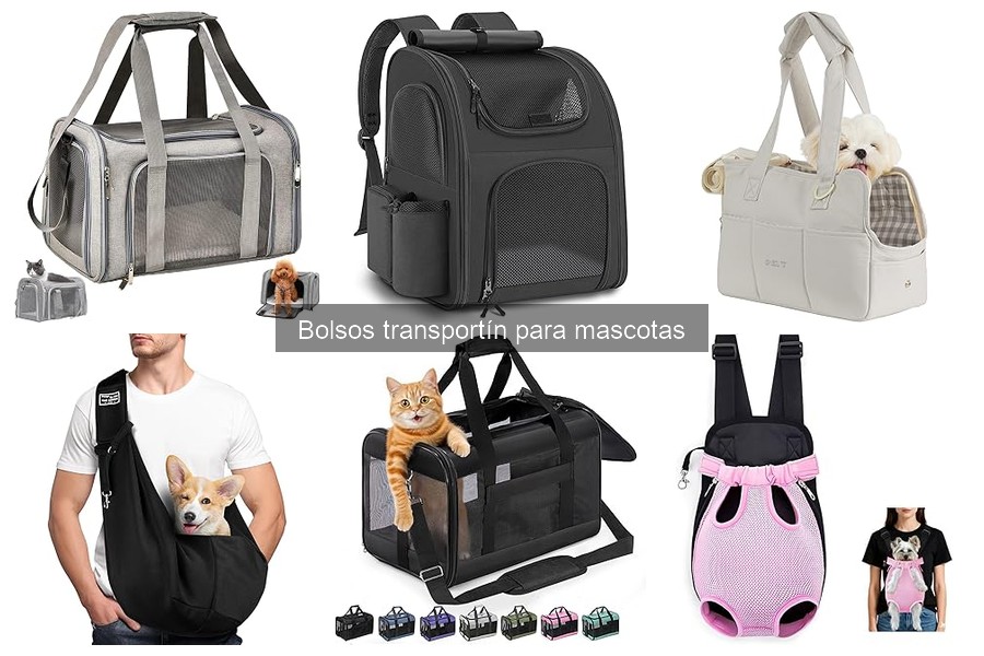 Tipos de Bolsos Transportín para Mascotas: Guía Completa
