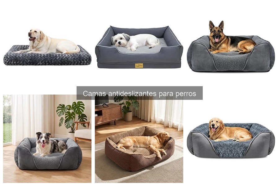 Tipos de camas antideslizantes para perros: guía completa
