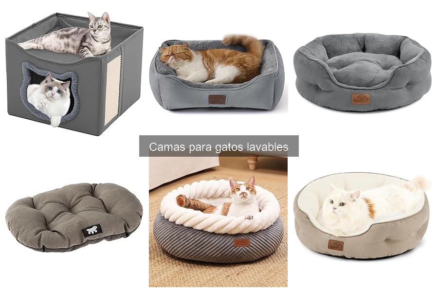 Tipos de Camas Lavables para Gatos: Guía y Comparativa