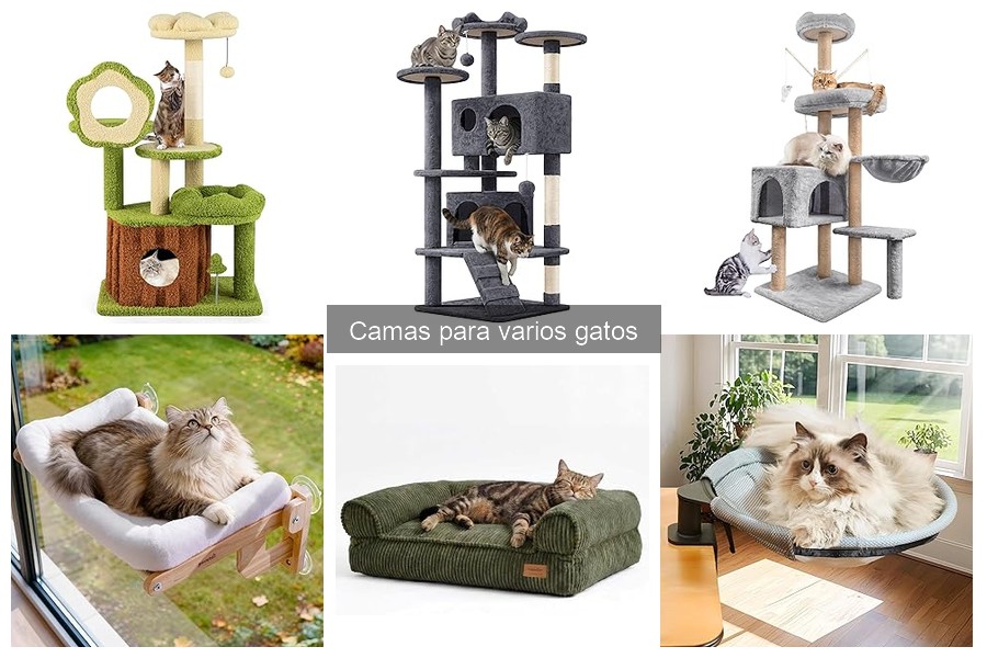 Tipos de Camas para Gatos: Características y Beneficios
