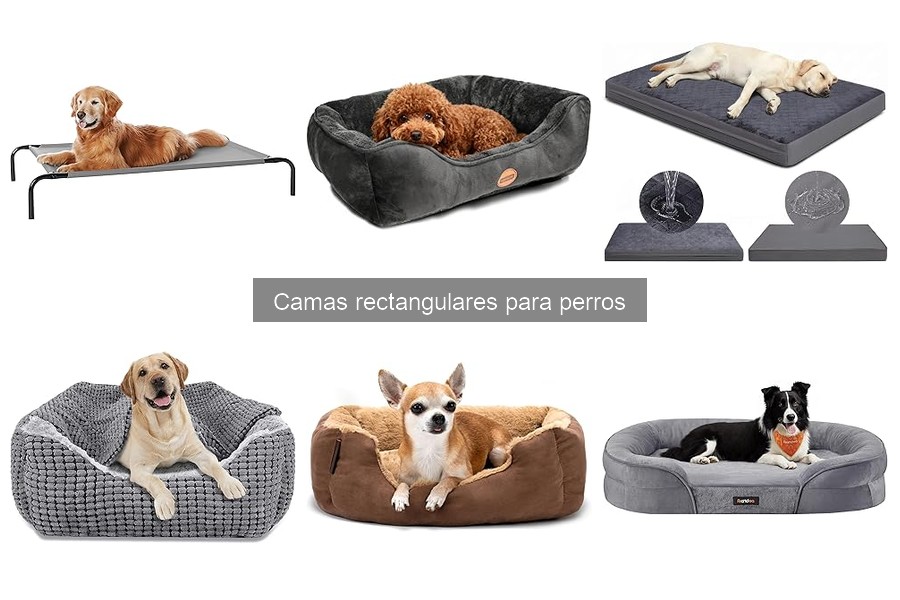 Tipos de camas rectangulares para perros: guía completa