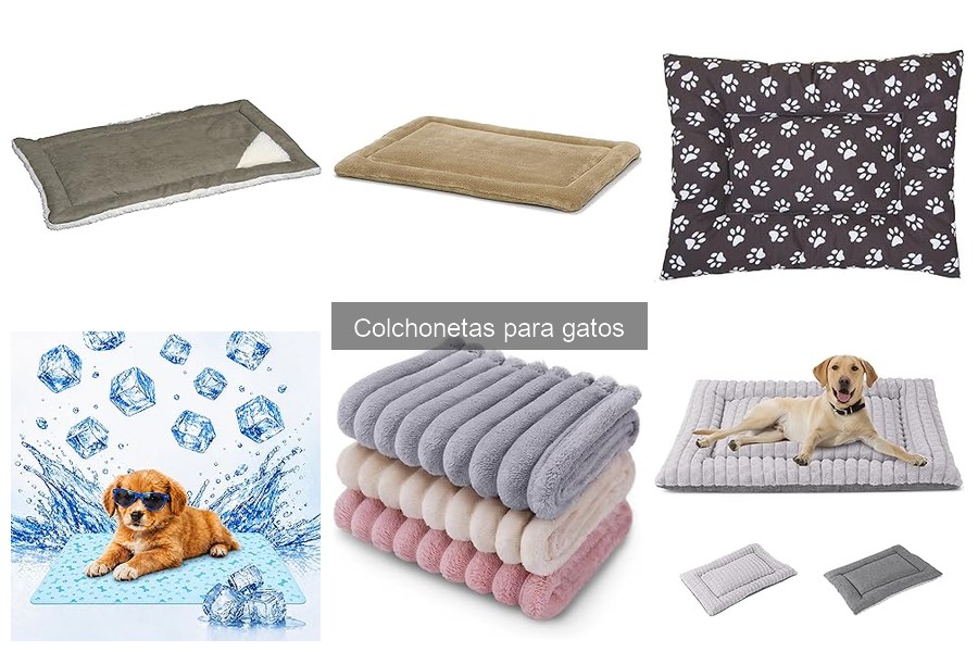 Tipos de colchonetas para gatos: diferencias y ventajas