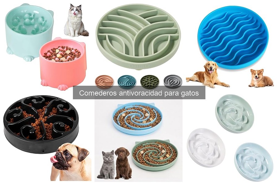 Tipos de comederos antivoracidad para gatos y sus características