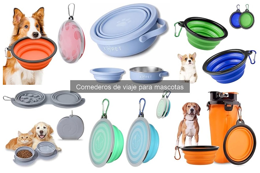 Tipos de comederos de viaje para mascotas: ventajas y desventajas
