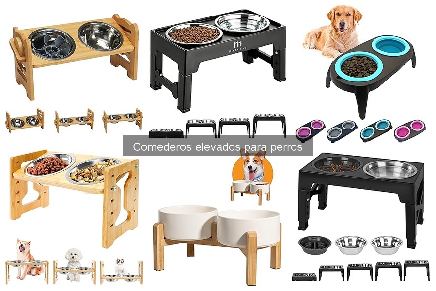Tipos de comederos elevados para perros: guía completa