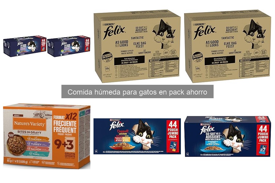 Tipos de comida húmeda para gatos: Variedades y beneficios