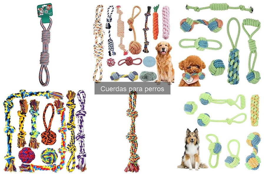 Tipos de cuerdas para perros y sus usos específicos