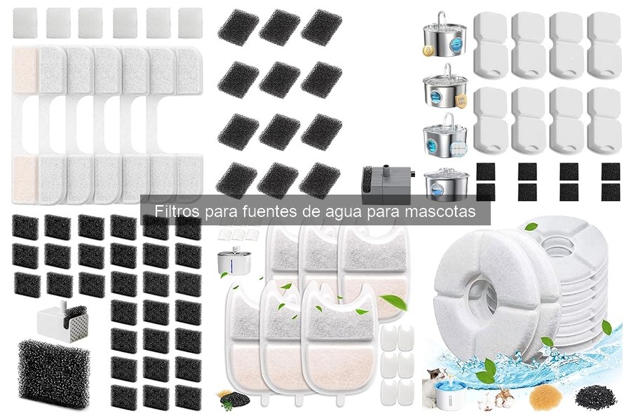Tipos de filtros para fuentes de agua para mascotas