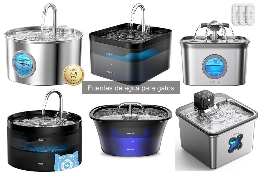 Tipos de fuentes de agua para gatos: guía completa