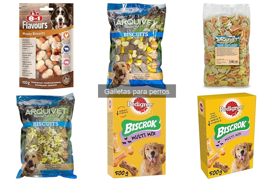 Tipos de galletas para perros y sus beneficios