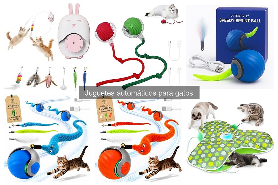 Tipos de juguetes automáticos para gatos: guía completa