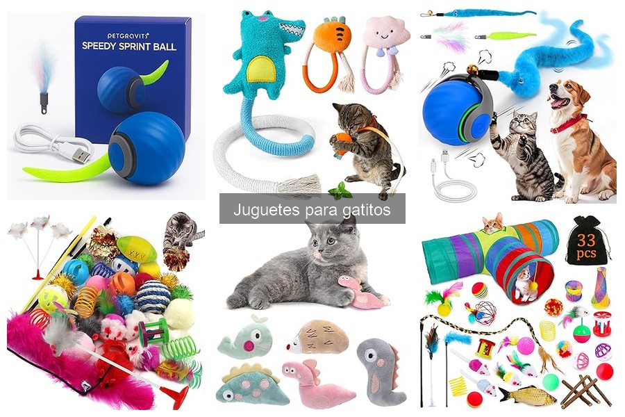 Tipos de juguetes para gatitos y sus beneficios