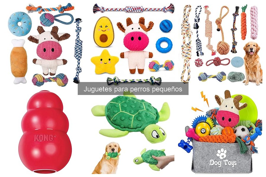 Tipos de juguetes para perros pequeños: ¡elige el mejor!