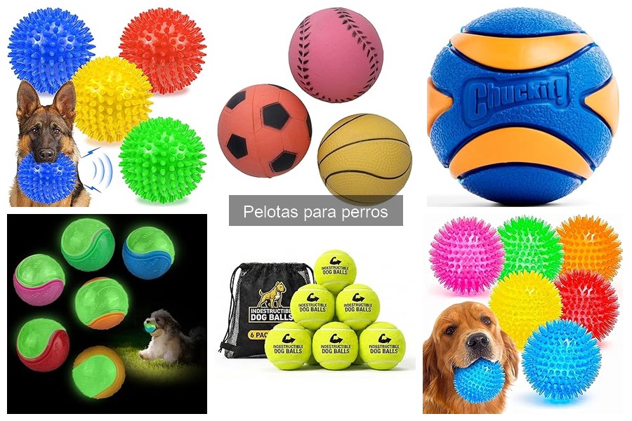 Tipos de pelotas para perros: guía completa