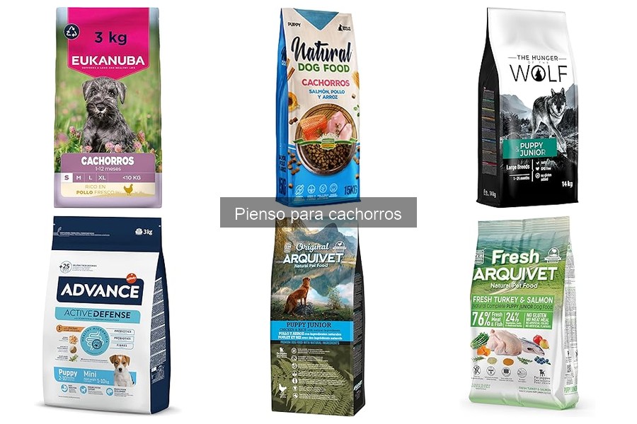 Tipos de pienso para cachorros: Seco, húmedo y más