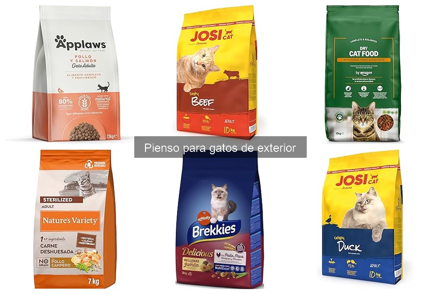 Tipos de pienso para gatos de exterior: ¿Cuál elegir?