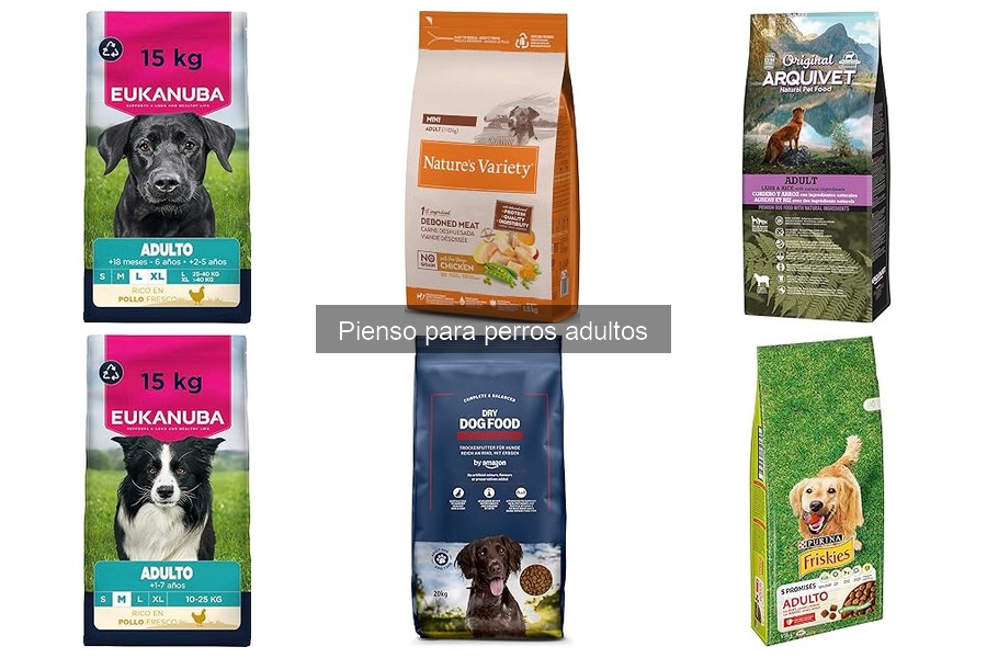 Tipos de pienso para perros adultos: características y ventajas