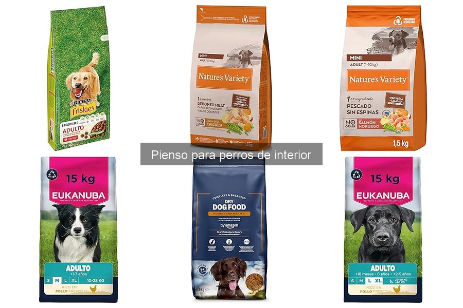 Tipos de pienso para perros de interior: seco, húmedo y dietético