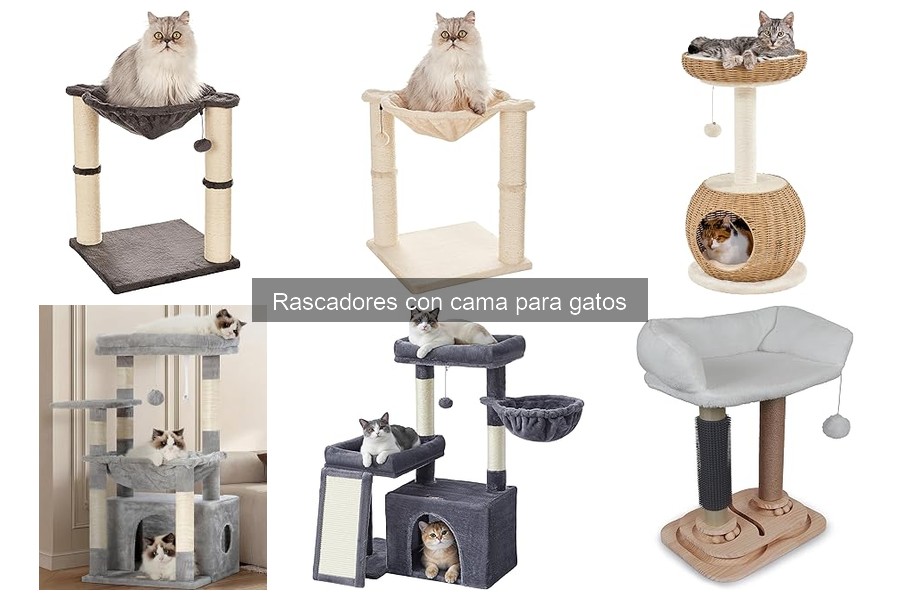 Tipos de rascadores con cama para gatos: ¡elige el mejor!
