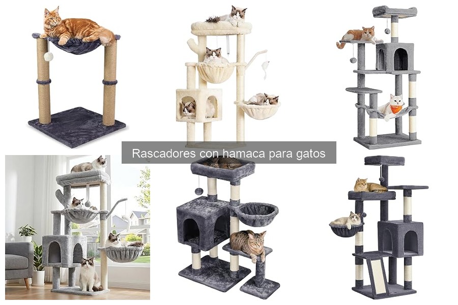 Tipos de Rascadores con Hamaca para Gatos: Guía Completa