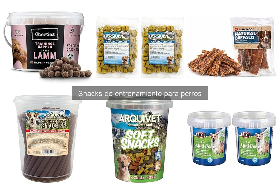 ** Tipos de Snacks de Entrenamiento para Perros: Guía Completa