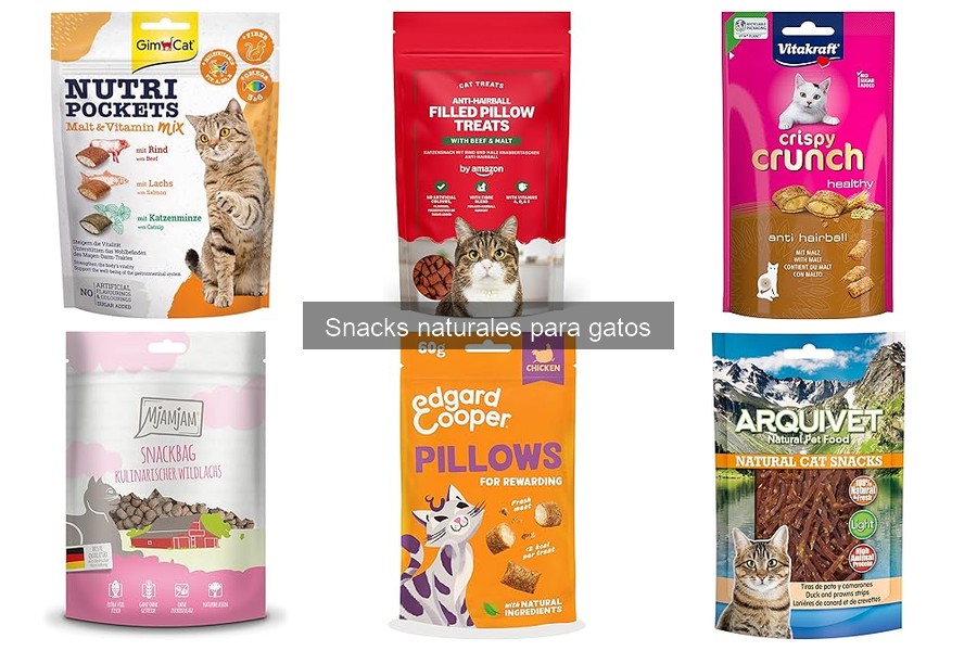 Tipos de snacks naturales para gatos: opciones saludables