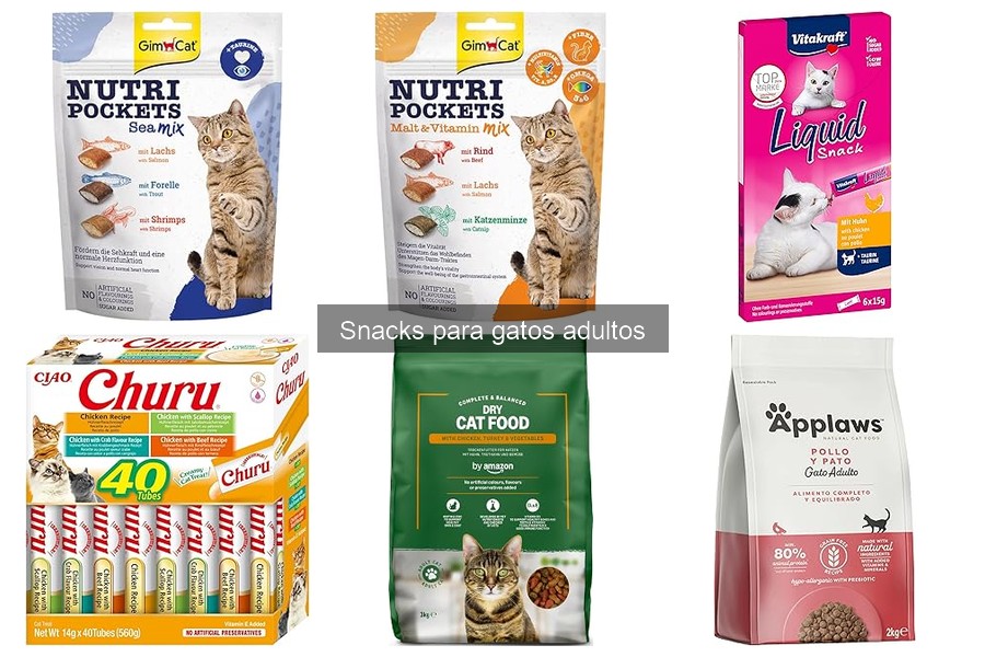 Tipos de snacks para gatos adultos: sabrosos y saludables