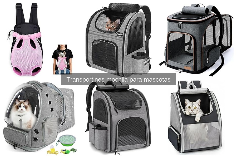 Tipos de transportines mochila para mascotas: guía completa