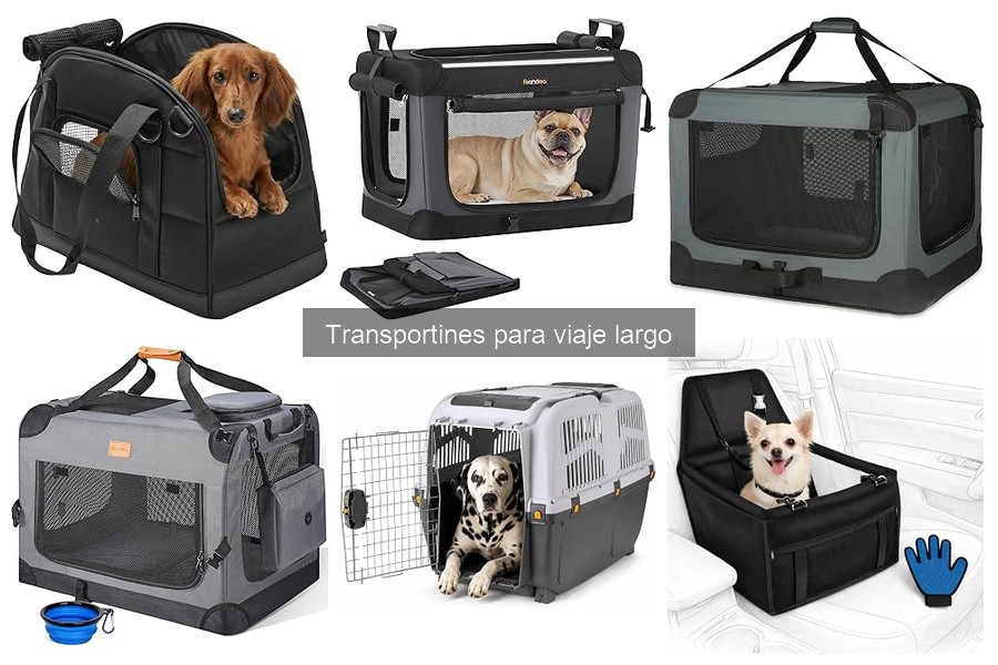 Tipos de Transportines para Perros y Gatos en Viajes Largos