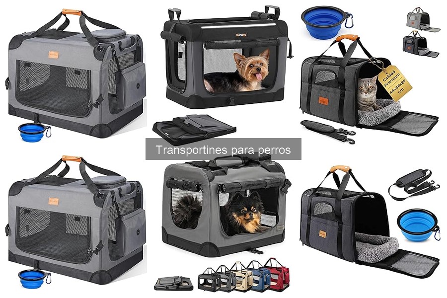 Tipos de transportines para perros y sus características