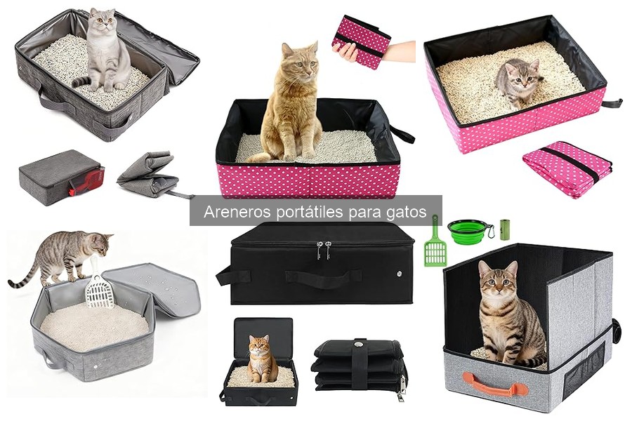 Tips para el Mantenimiento de Areneros Portátiles para Gatos
