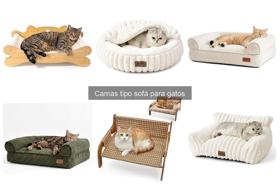 Tips para limpiar camas tipo sofá para gatos fácilmente