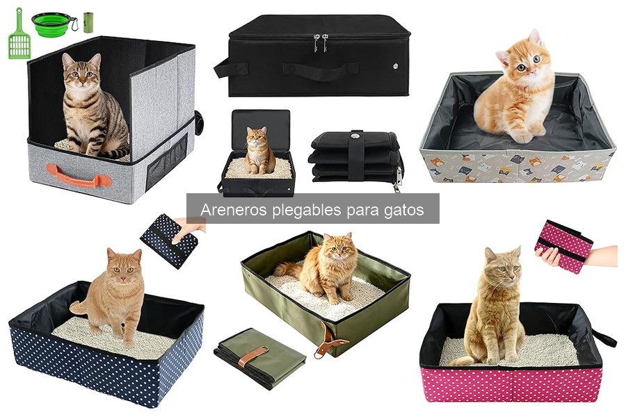 Todo sobre areneros plegables para gatos: características y ventajas