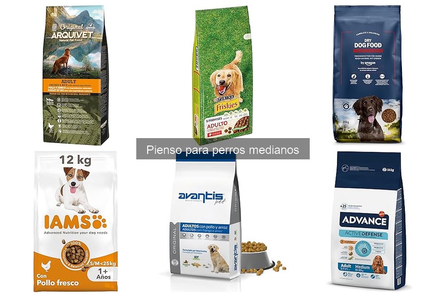 Todo sobre el pienso para perros medianos: características clave