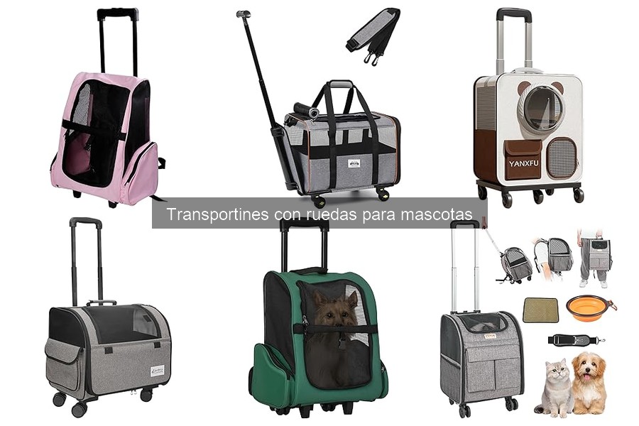 Todo sobre transportines con ruedas para mascotas