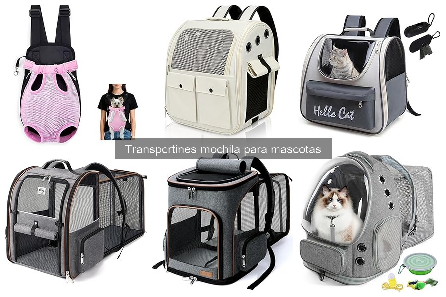 Transportines mochila para mascotas: ¿Son seguros?