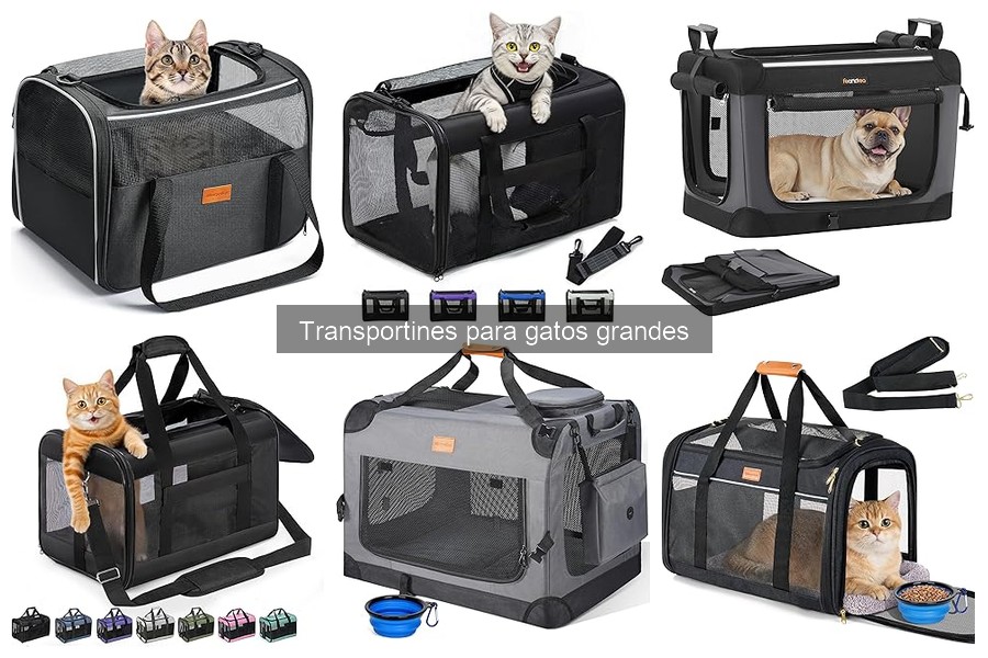 Transportines para gatos grandes: características y ventajas