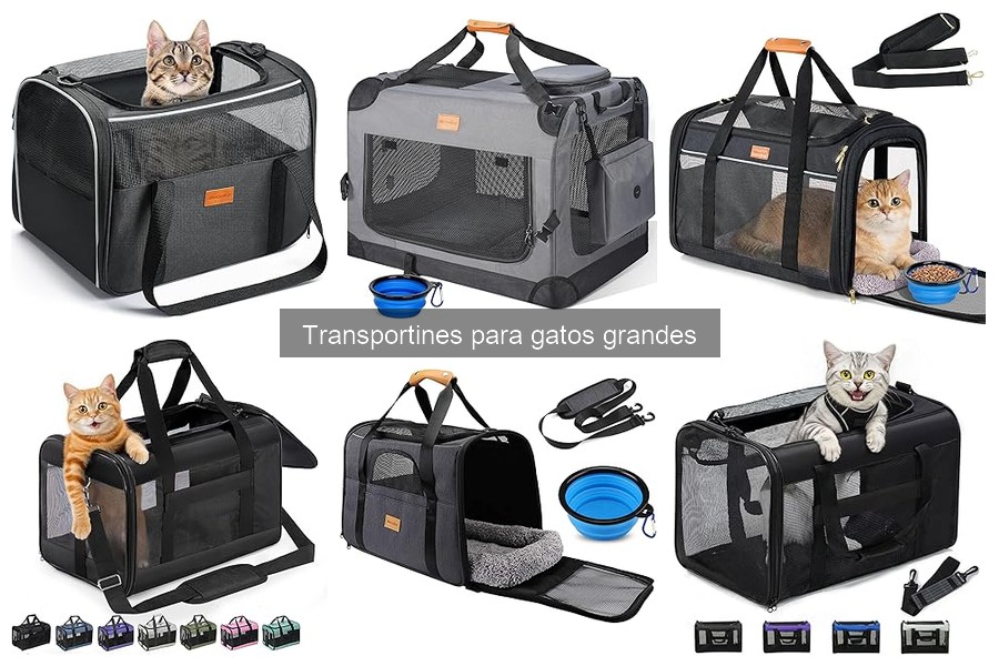 Transportines para gatos grandes: ¿son realmente seguros?